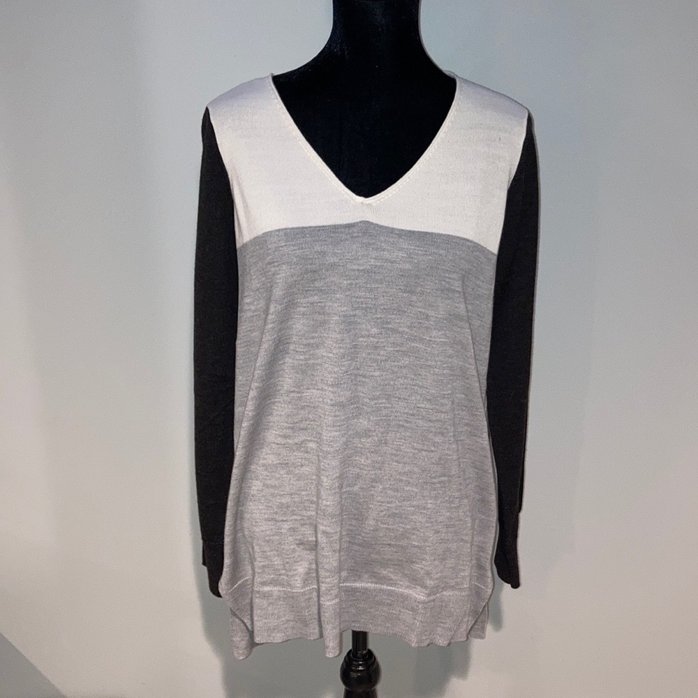 Ann Taylor V-Neck Sweater⭐️
